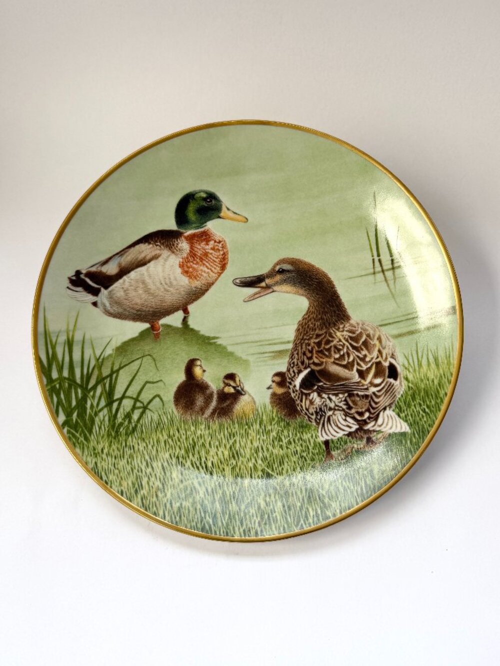 Vintage Mallard Ducks Waterbird Bird Plate Eric Tenney Sumner Collection